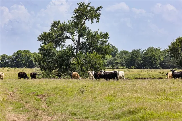 $11,200,000 | 2705 Mabank Tx 75147, Mabank, TX 75147