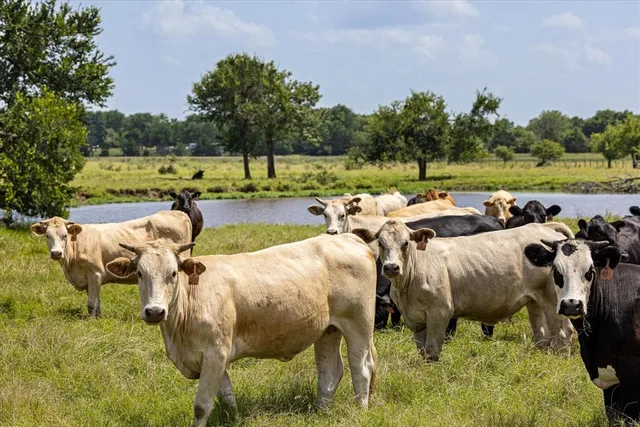 $11,200,000 | 2705 Mabank Tx 75147, Mabank, TX 75147