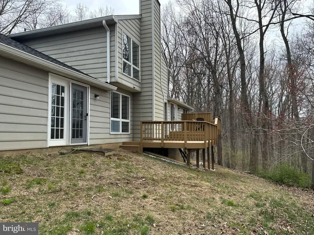 a bench sitting in middle of a forest