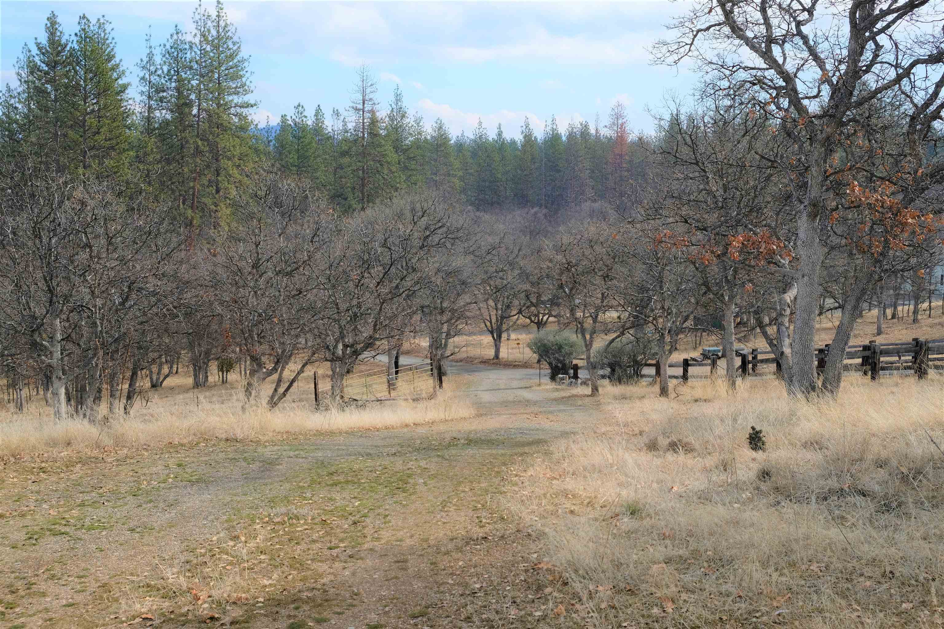 4902 Travis Heights Road Yreka, CA 96097 - Photo 6 of 32 Gallery Image 6