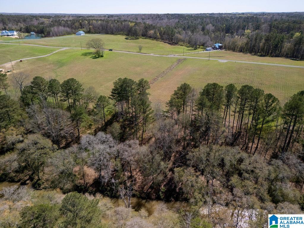 Bluegrass Lane, Unit 11 Jasper, AL 35503 - Photo 30 of 38