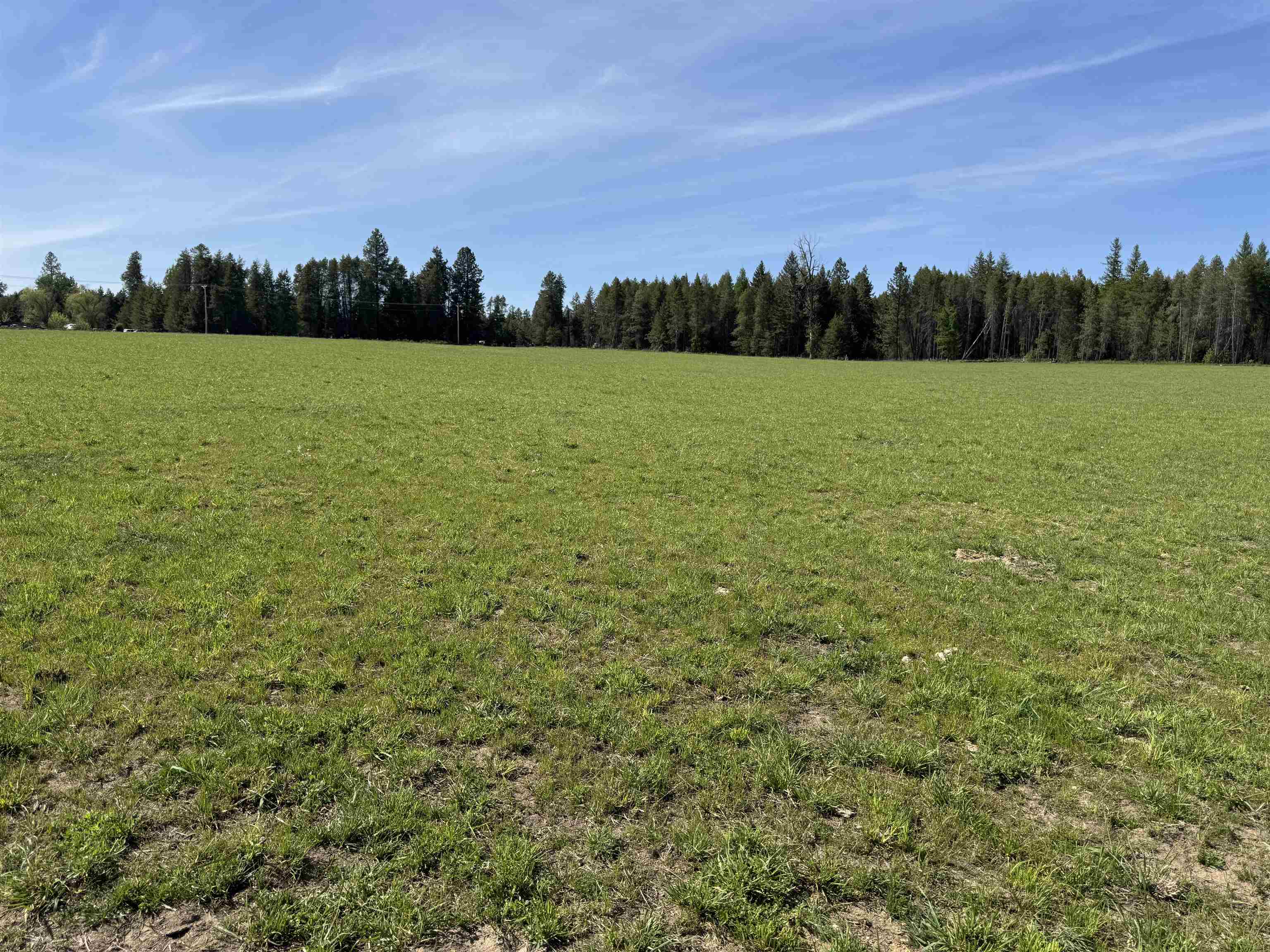 29210 North Spotted Road, Unit PARCEL A Deer Park, WA 99006 - Photo 2 of 10