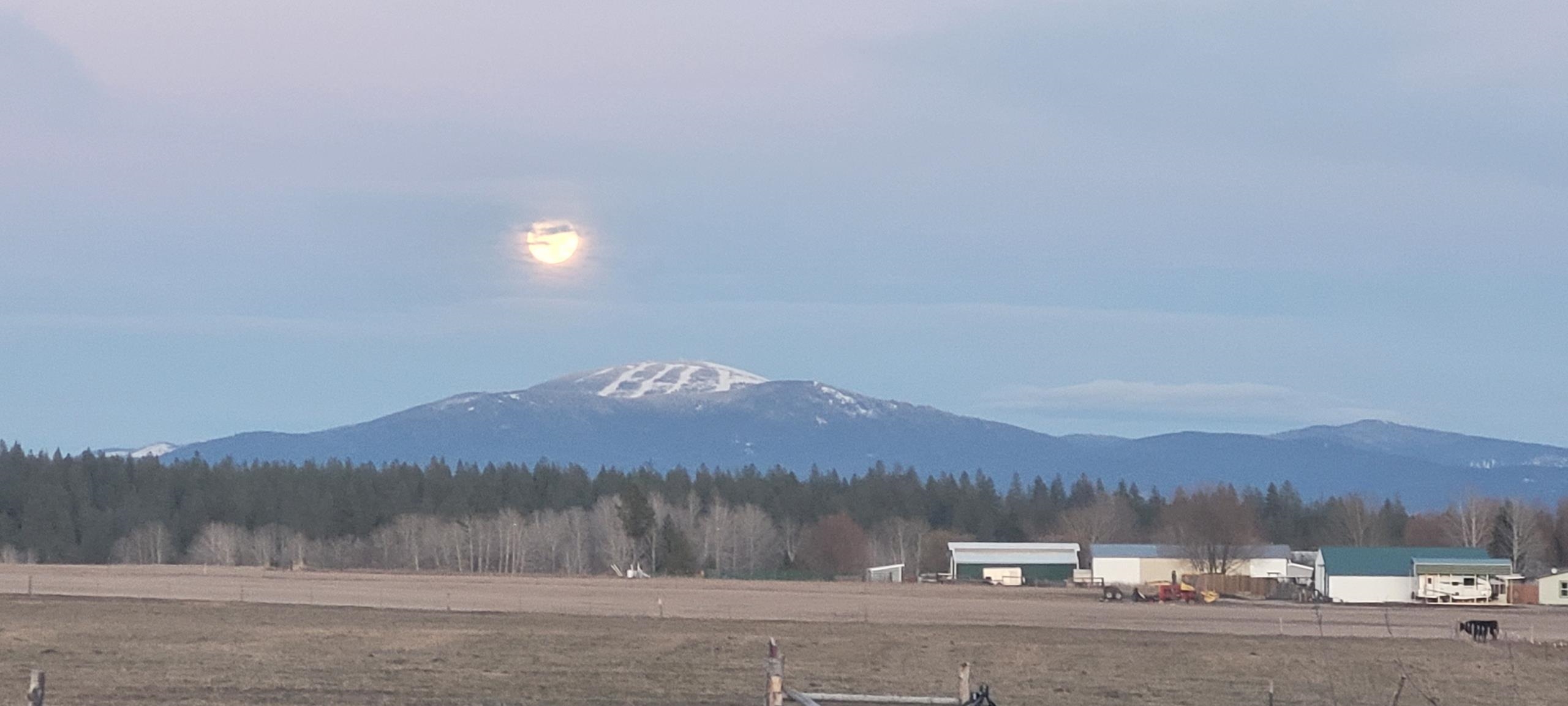 29210 North Spotted Road, Unit PARCEL A Deer Park, WA 99006 - Photo 3 of 10