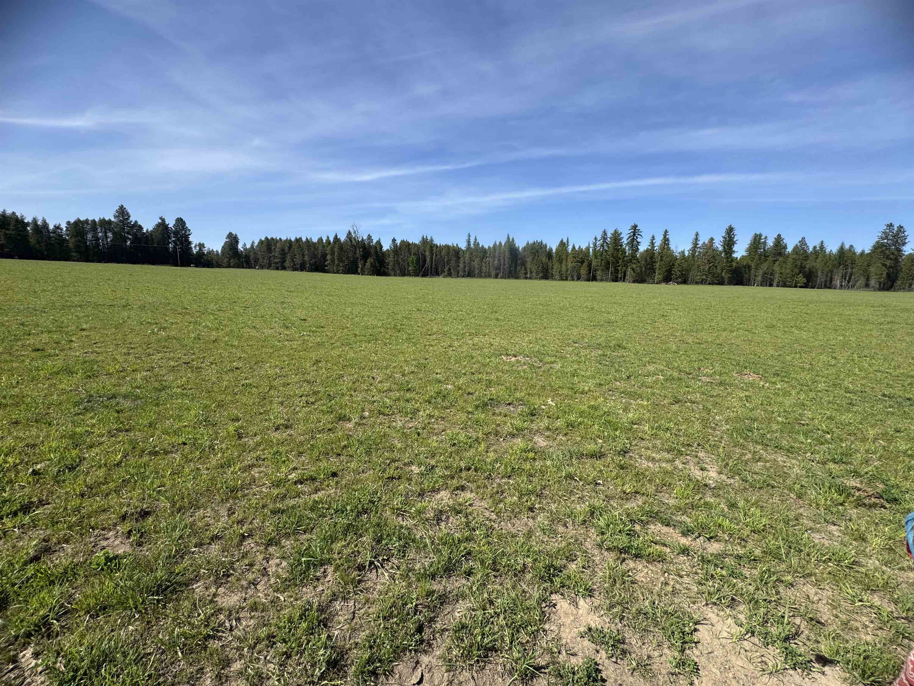 29210 North Spotted Road, Unit PARCEL A Deer Park, WA 99006 - Photo 4 of 10