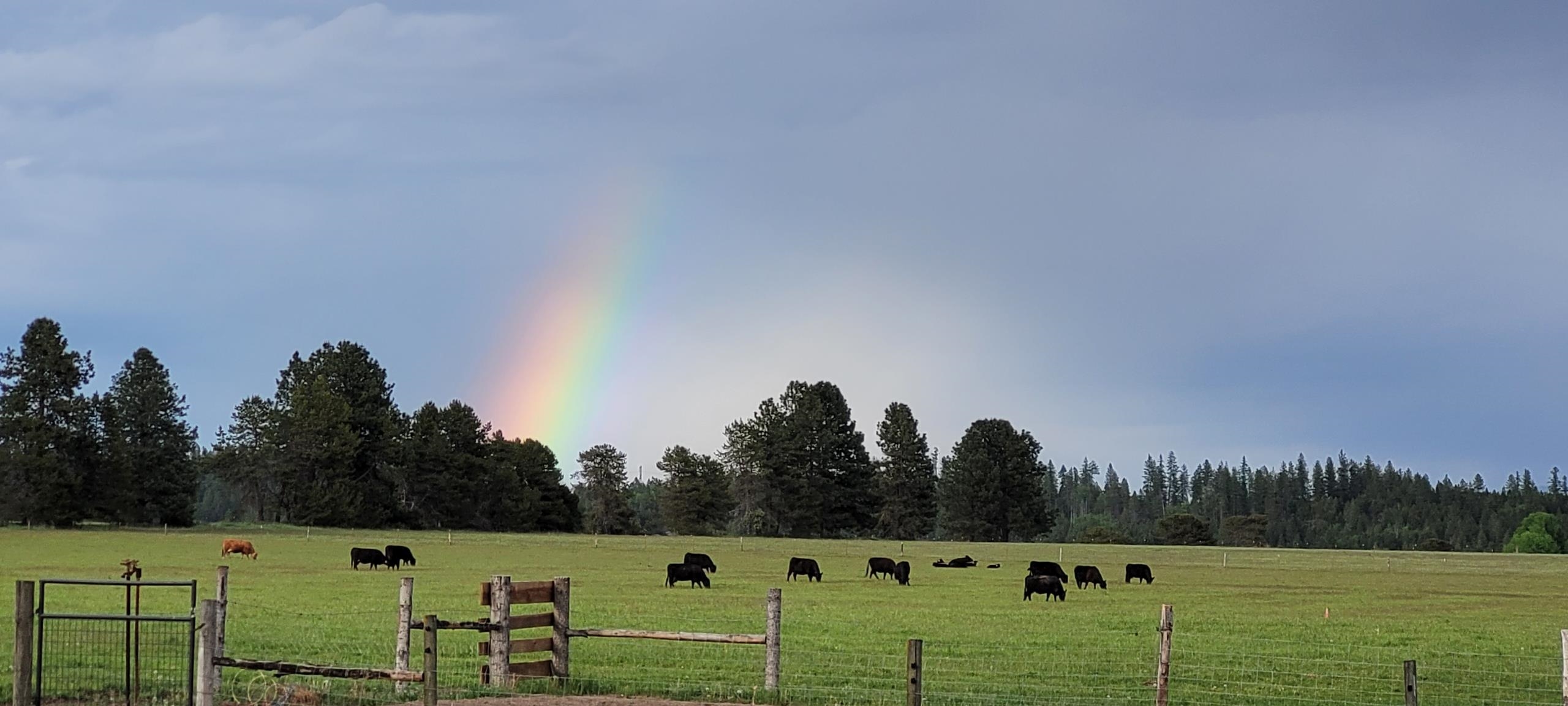 29210 North Spotted Road, Unit PARCEL A Deer Park, WA 99006 - Photo 7 of 10