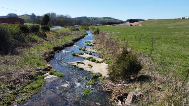 a view of a lake with a mountain