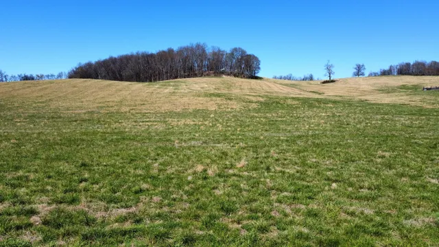 a view of a field with an ocean view