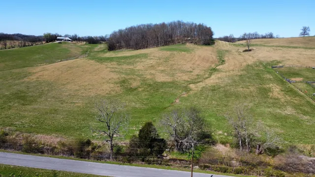 a view of a yard with an empty space