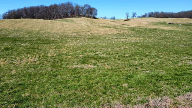 a view of a garden with lawn chairs under an umbrella