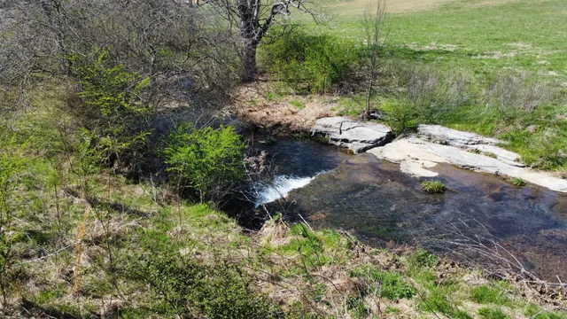 a backyard of a house with lots of green space