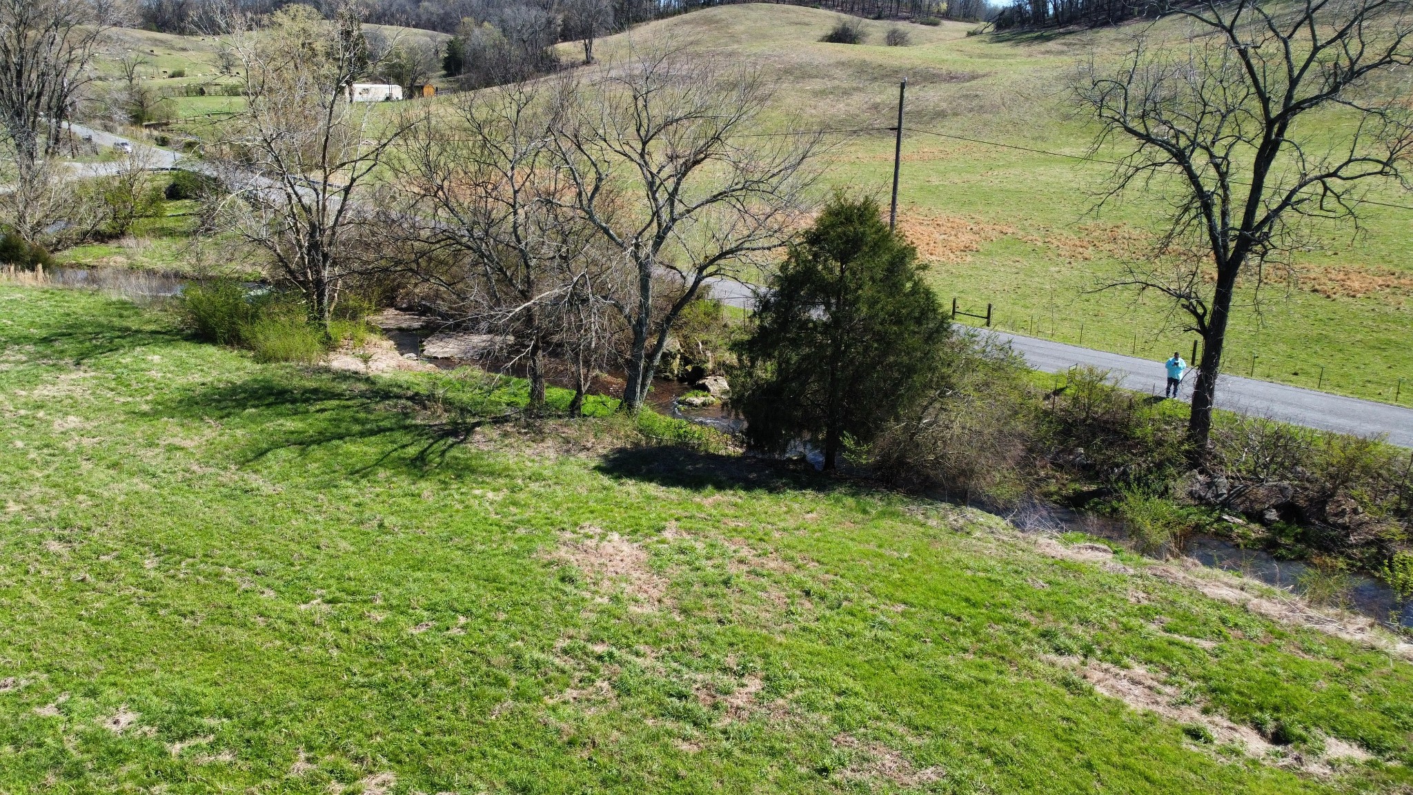 0 John Brinkley Road Wartrace, TN 37183 - Photo 9 of 12 a backyard of a house with lots of green space