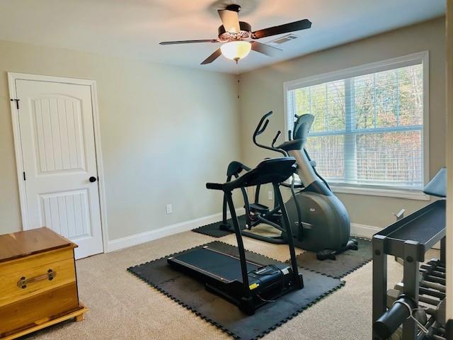 1539 Scales Creek Road Homer, GA 30547 - Photo 23 of 31