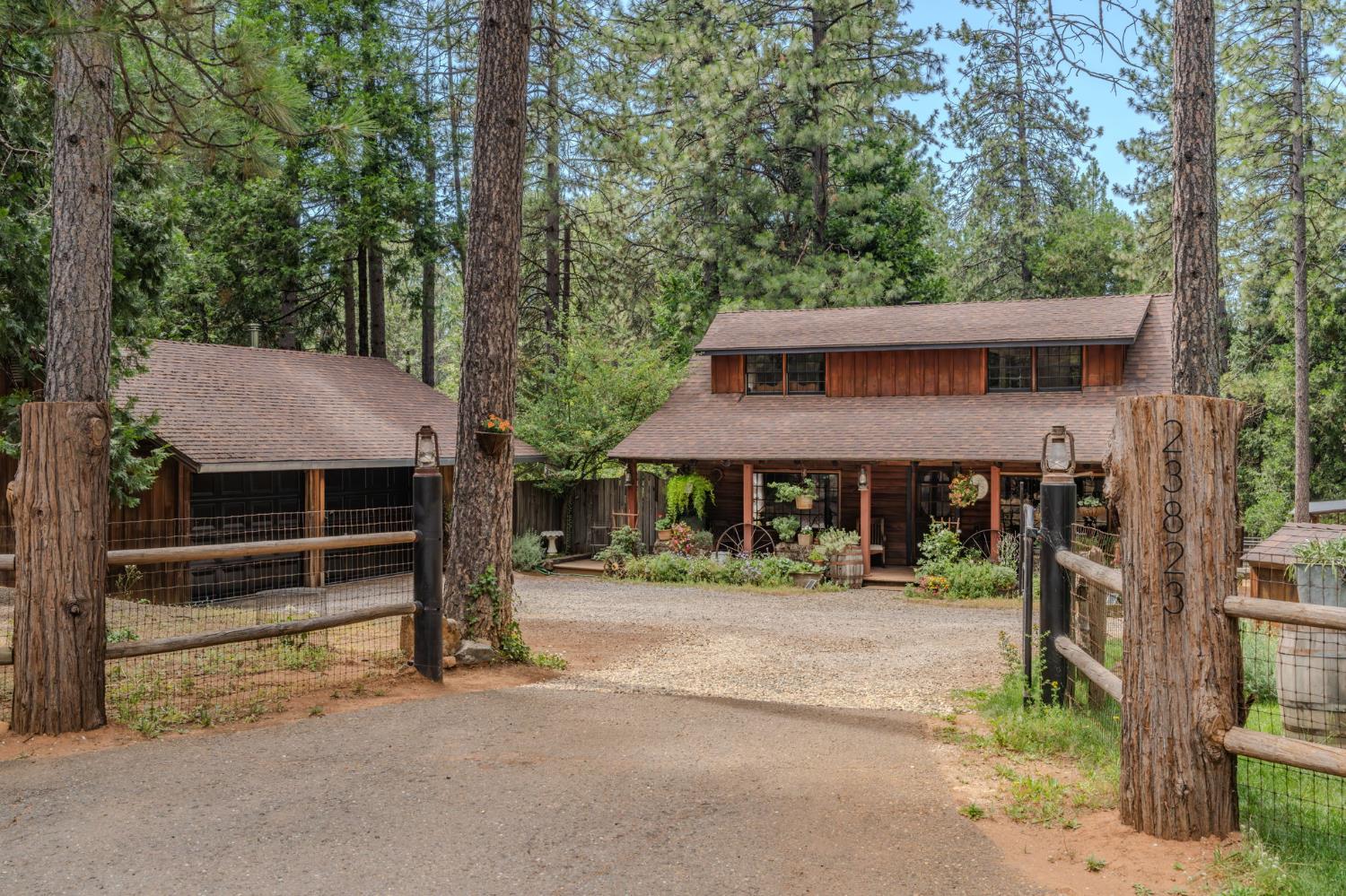 23823 Shake Ridge Road Volcano, CA 95689 - Photo 5 of 80