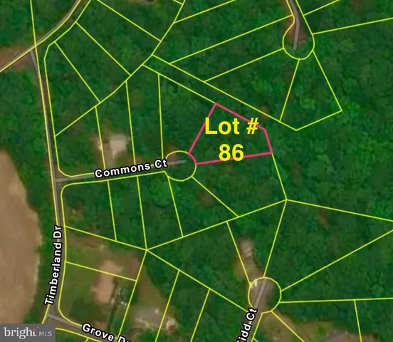 a tennis court with lots of trees in the background