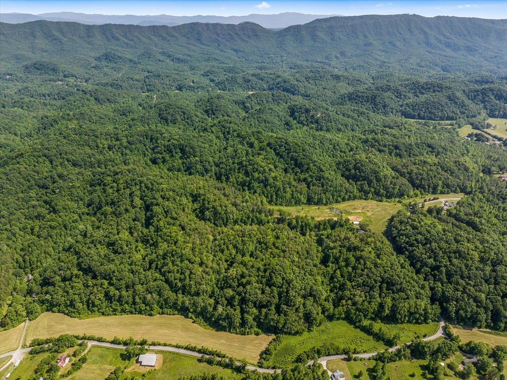 1065 Stanton Road Seymour, TN 37865 - Photo 53 of 61