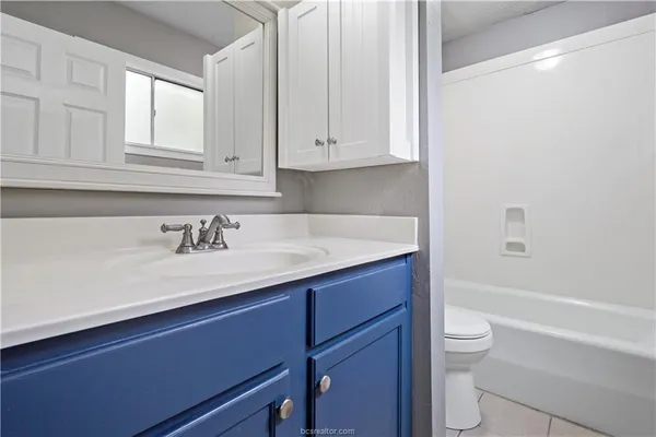 a bathroom with a sink and a toilet