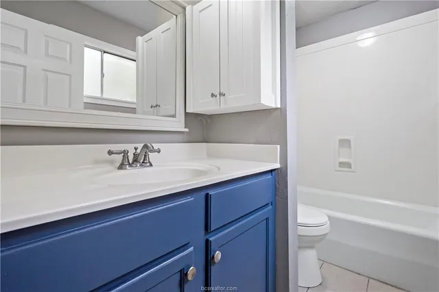 a bathroom with a sink and a toilet