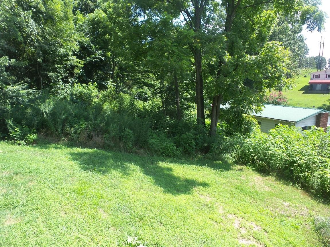 875 Queener Road Jacksboro, TN 37757 - Photo 14 of 15 Gallery Image 14