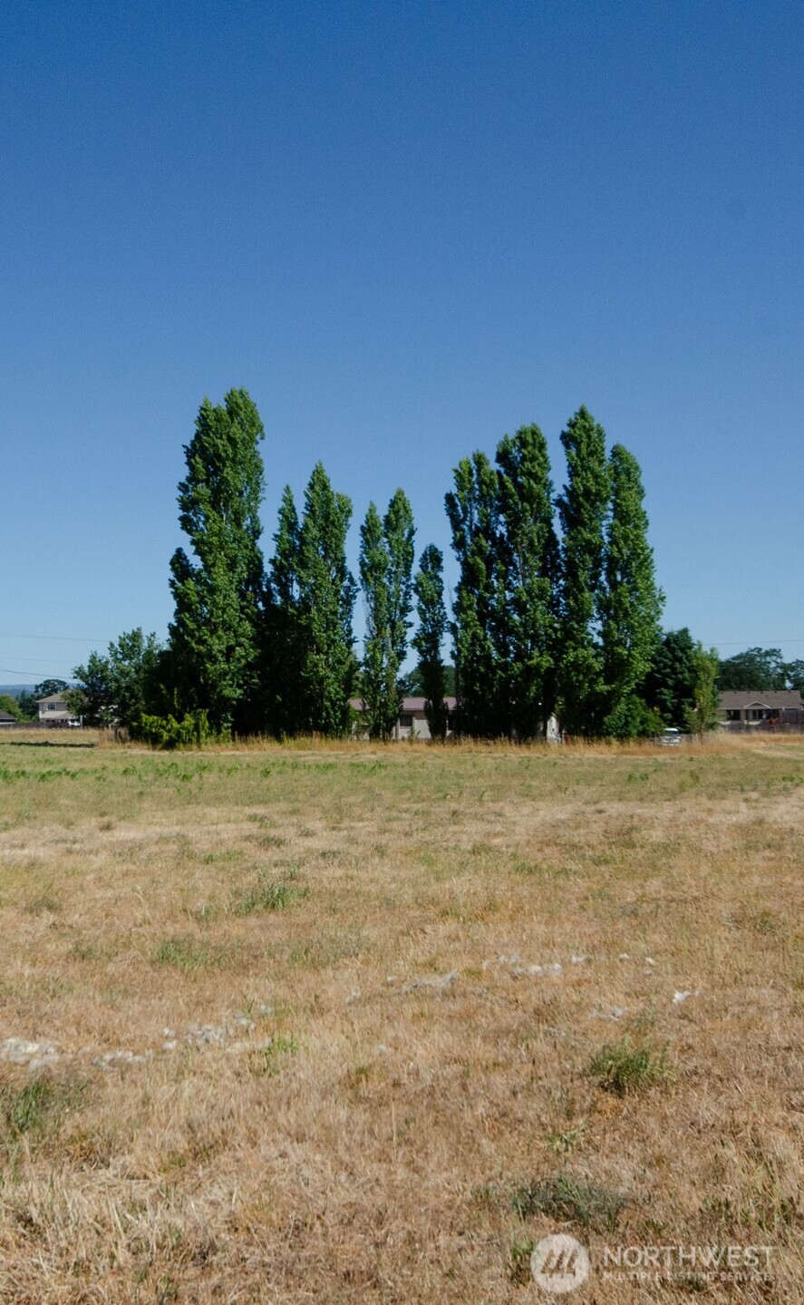 9015 183rd Avenue Southwest Rochester, WA 98579 - Photo 24 of 24