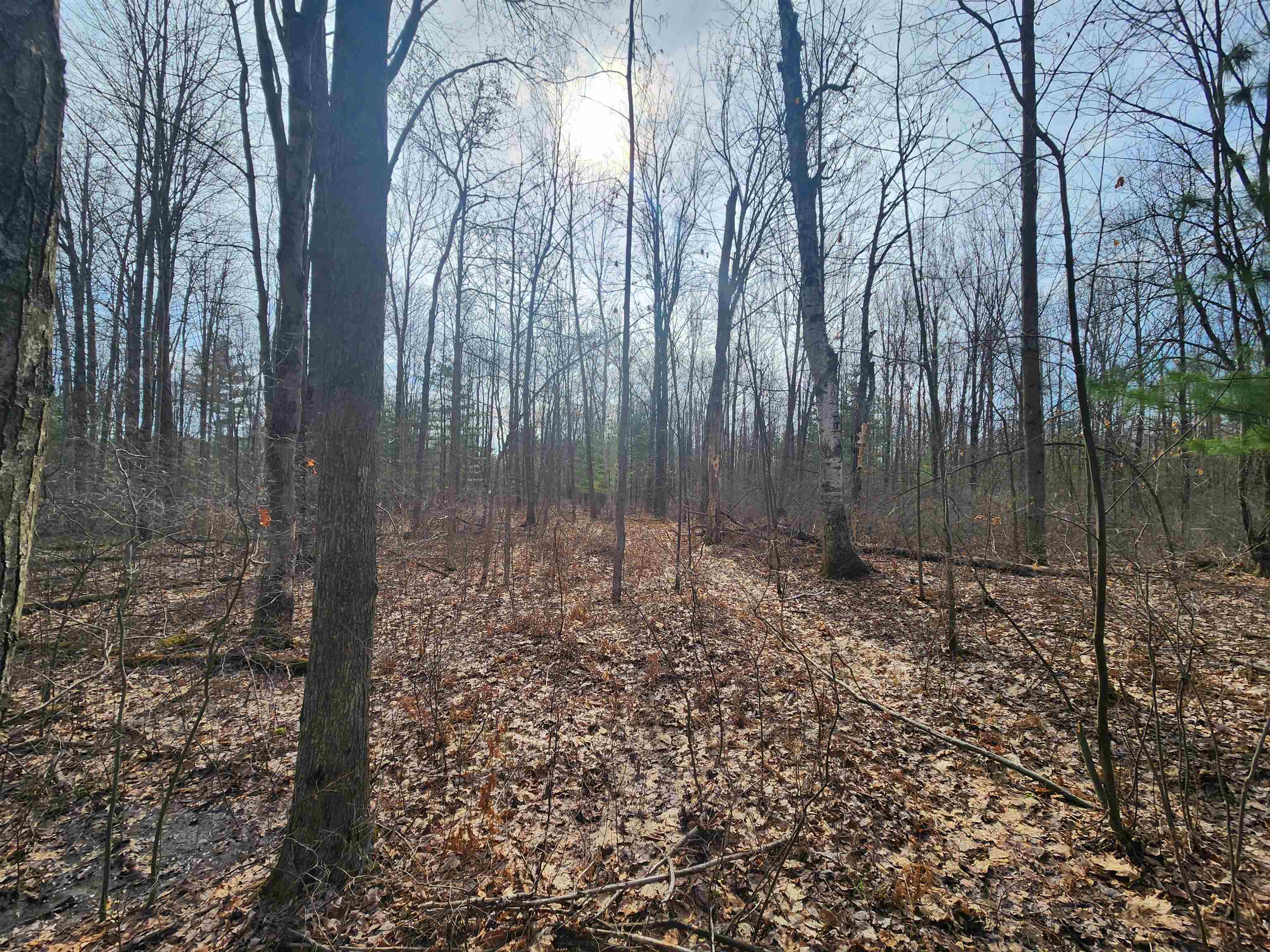 V/l West Howard Road Gladwin, MI 48624 - Photo 8 of 10