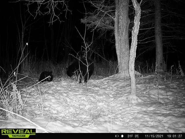 W10605 White Birch Road Kennan, WI 54537 - Photo 21 of 22 Gallery Image 21