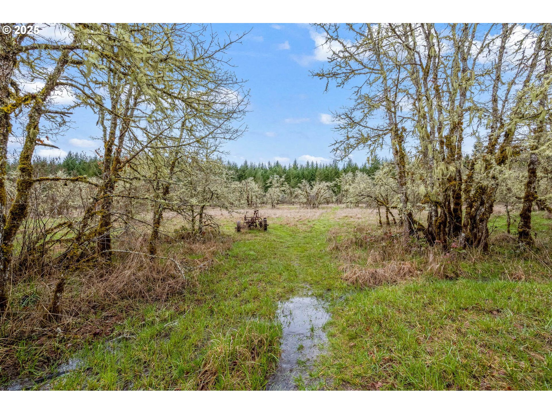 40440 Big Fall Creek Road Lowell, OR 97452 - Photo 23 of 32