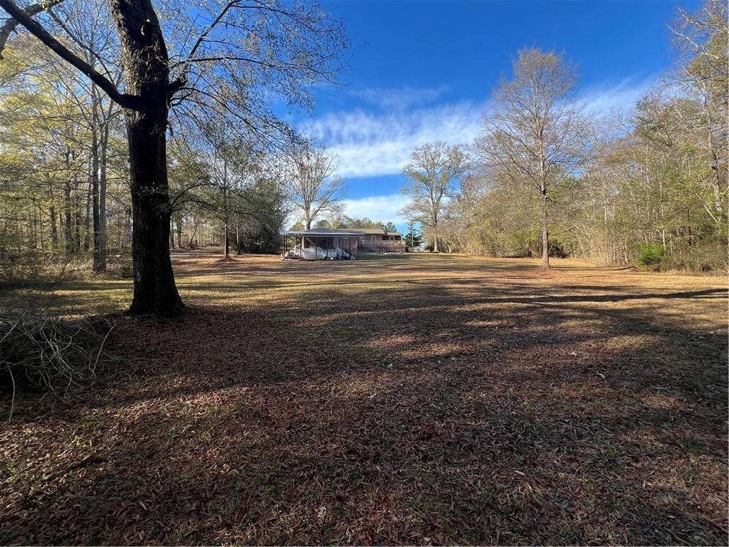 131 Twin Bridges Road Southwest Eatonton, GA 31024 - Photo 50 of 53 a view of a yard with large trees