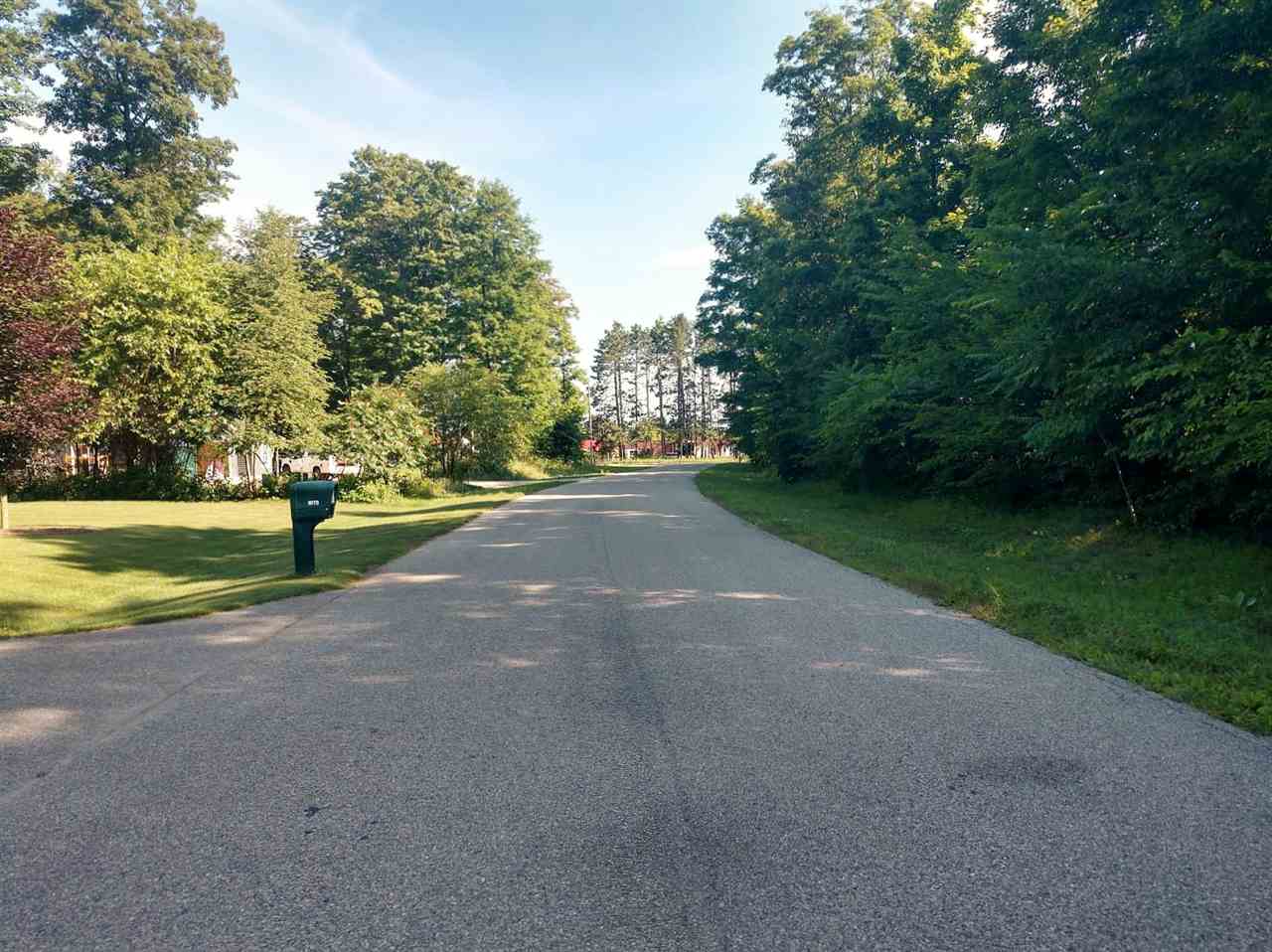 Lot 16 Lipp Farm Road Benzonia, MI 49616 - Photo 7 of 12