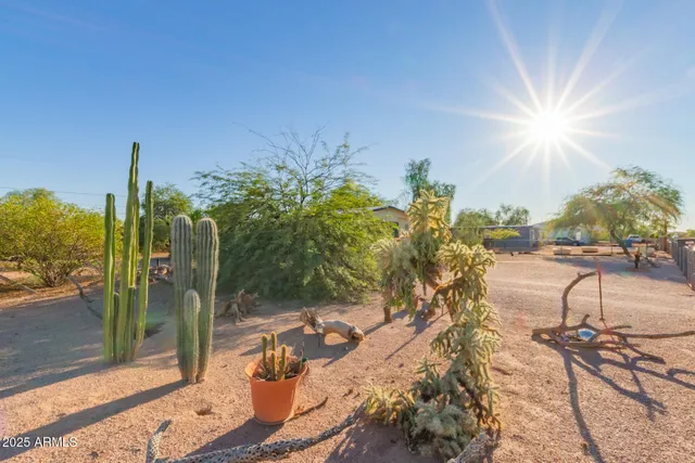 a view of a terrace with hardwood floor and a view of outdoor space