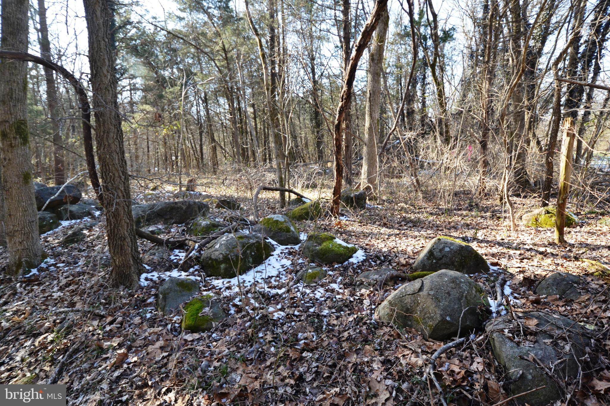 0 Sumerduck Road Remington, VA 22734 - Photo 1 of 21 2.5 Acres Adjacent to Phelps Wildlife preserve