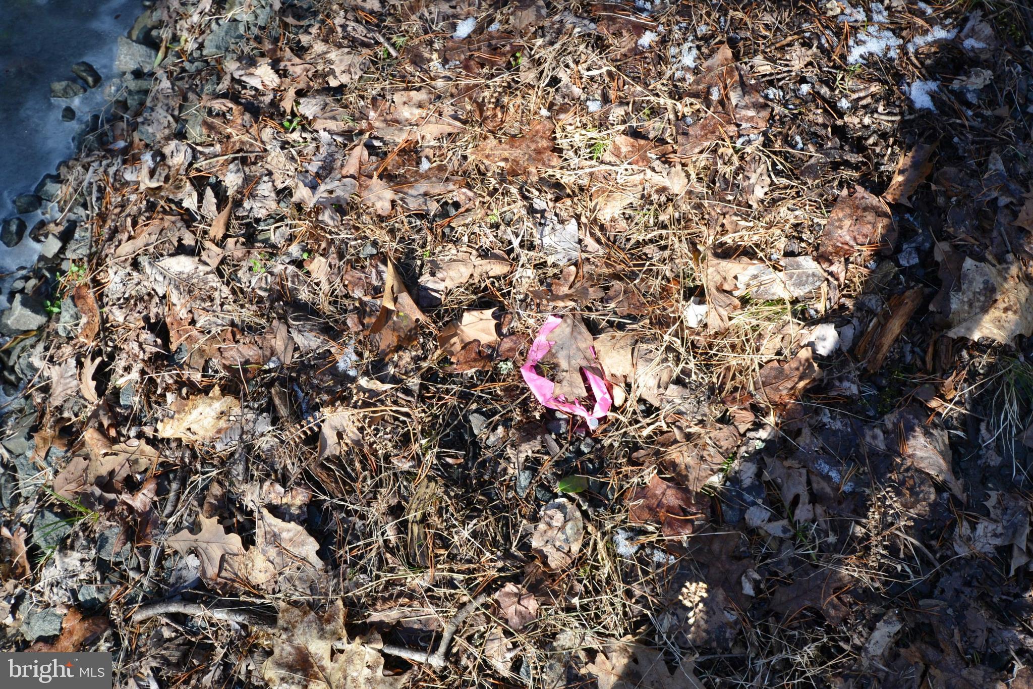 0 Sumerduck Road Remington, VA 22734 - Photo 19 of 21 Recently surveyed markers are on the property