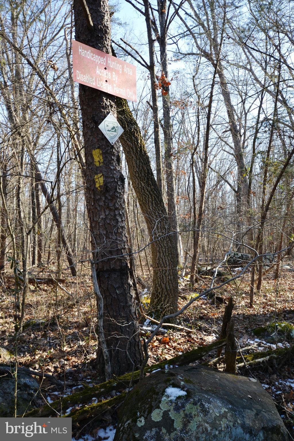 0 Sumerduck Road Remington, VA 22734 - Photo 20 of 21 Adjacent to Phelps Wildlife Management area