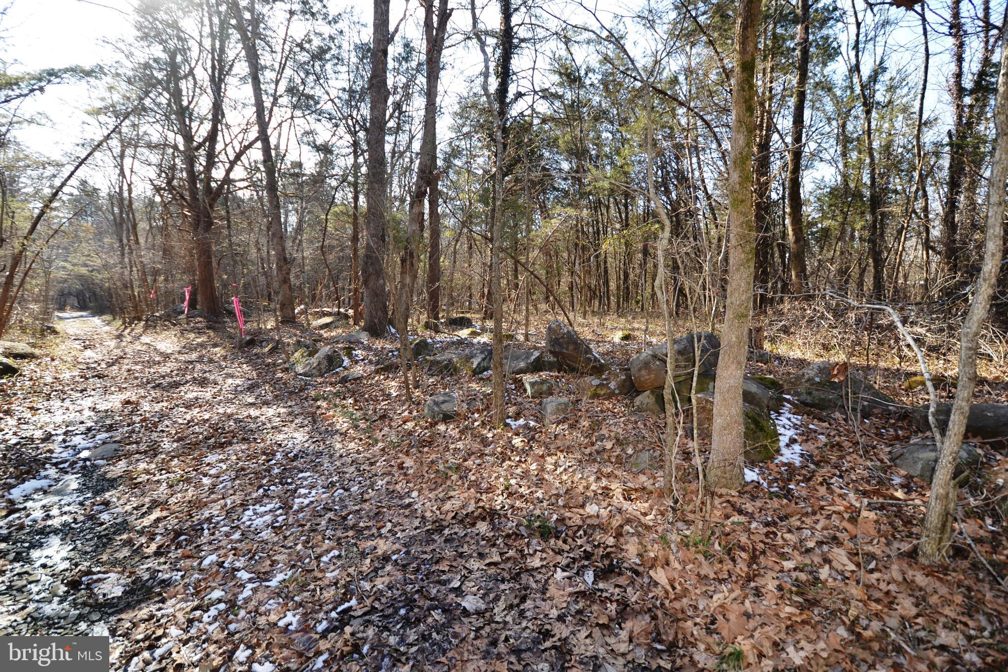 0 Sumerduck Road Remington, VA 22734 - Photo 3 of 21 Land does not perc but great for recreation