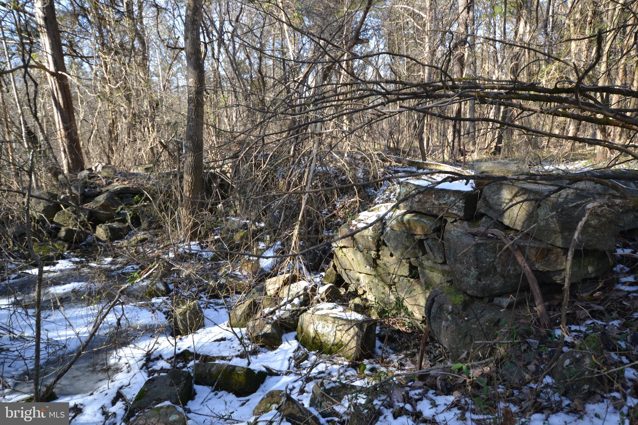 0 Sumerduck Road Remington, VA 22734 - Photo 8 of 21 Old foundation believed to be from a canal house