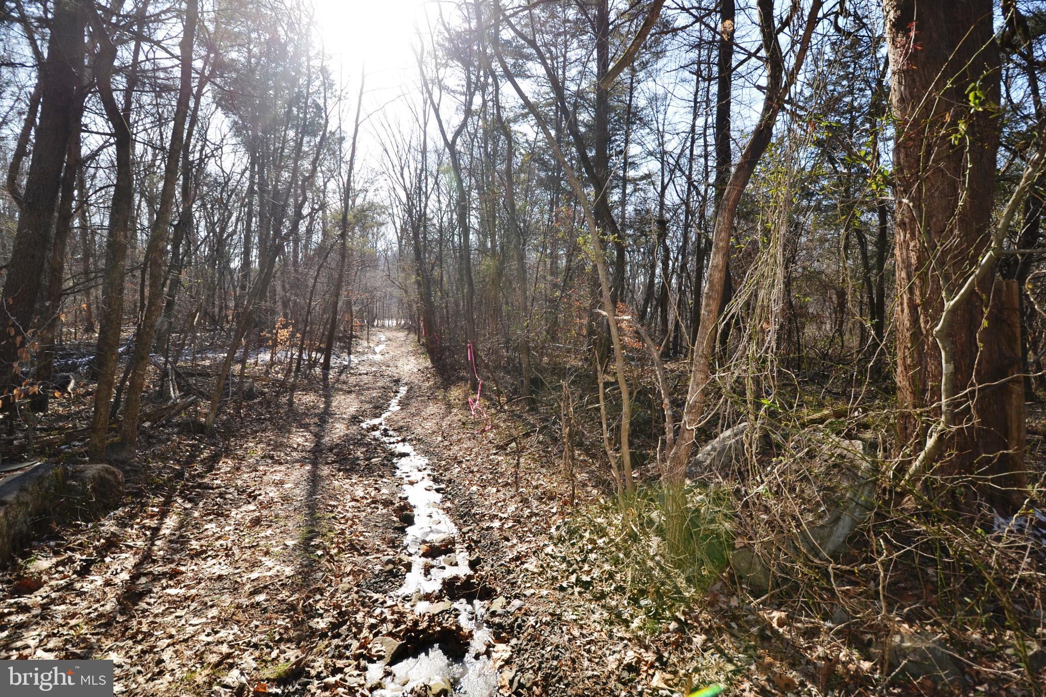 0 Sumerduck Road Remington, VA 22734 - Photo 10 of 21 Lot is adjacent to Phelps Wildlife Management Area