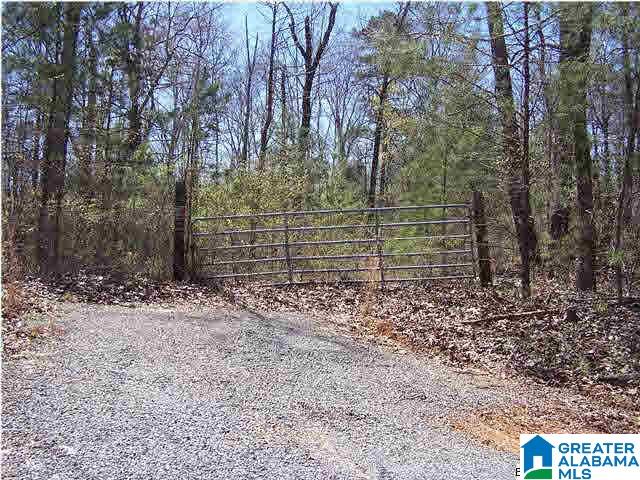 0 Homestead Lane Remlap, AL 35133 - Photo 9 of 23