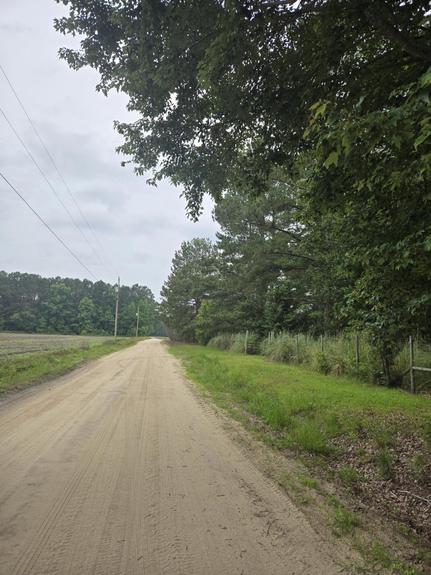 194 Sunnydale Road Reevesville, SC 29471 - Photo 8 of 10 1000003889