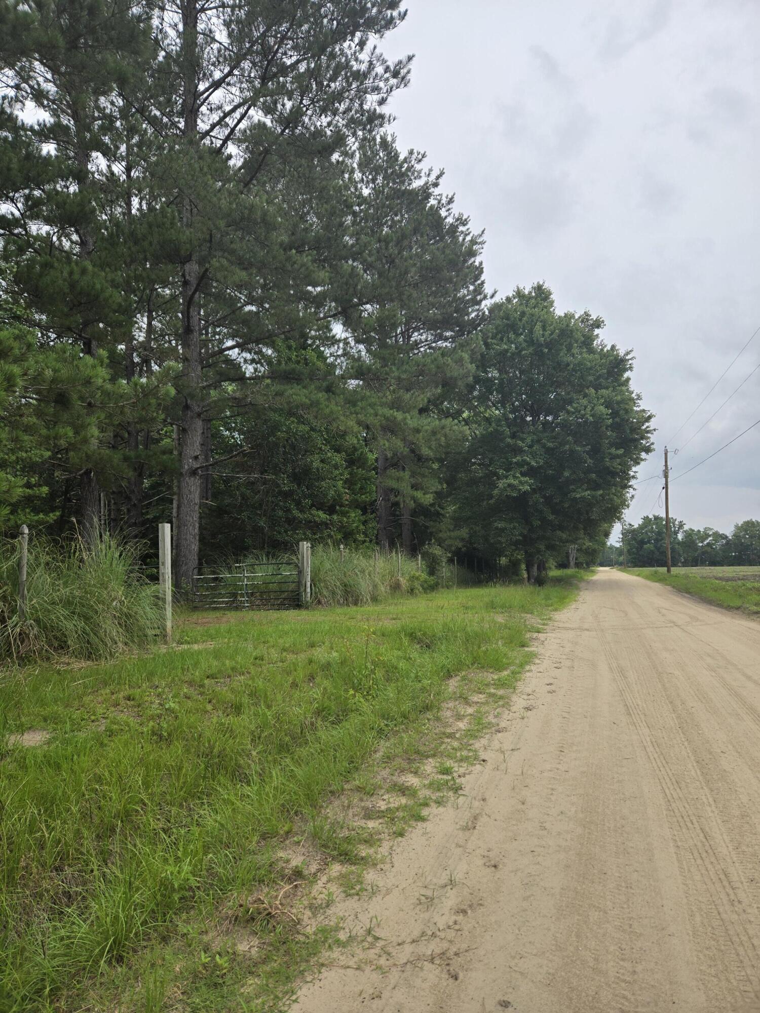 194 Sunnydale Road Reevesville, SC 29471 - Photo 9 of 10 1000003887