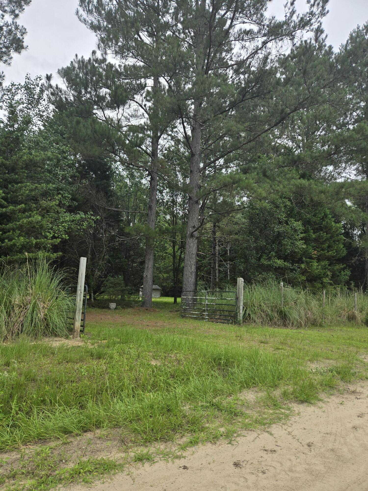 194 Sunnydale Road Reevesville, SC 29471 - Photo 10 of 10 1000003888