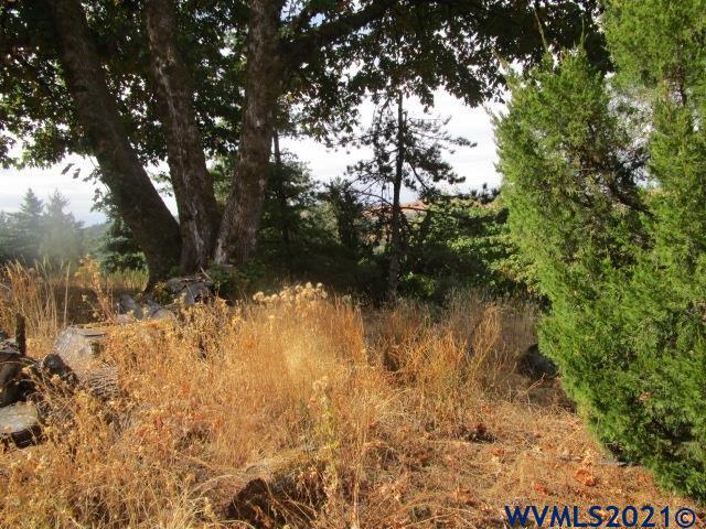 1066 Twin Hills Road Southeast Jefferson, OR 97352 - Photo 2 of 13