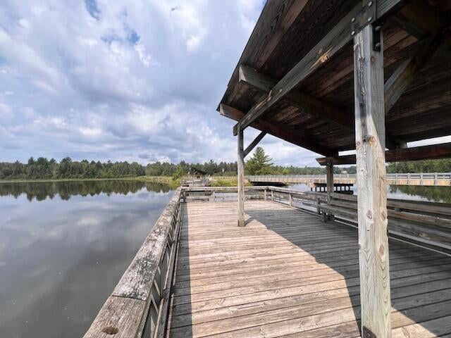 1675 West Kittle Road Mio, MI 48647 - Photo 25 of 34 Gallery Image 25
