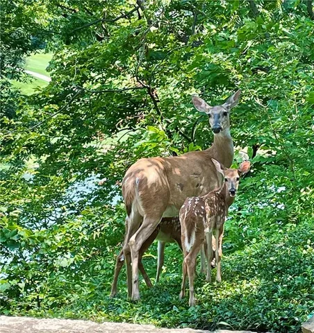 $2,675,000 | 10504 South Highland Lane, Olathe, KS 66061