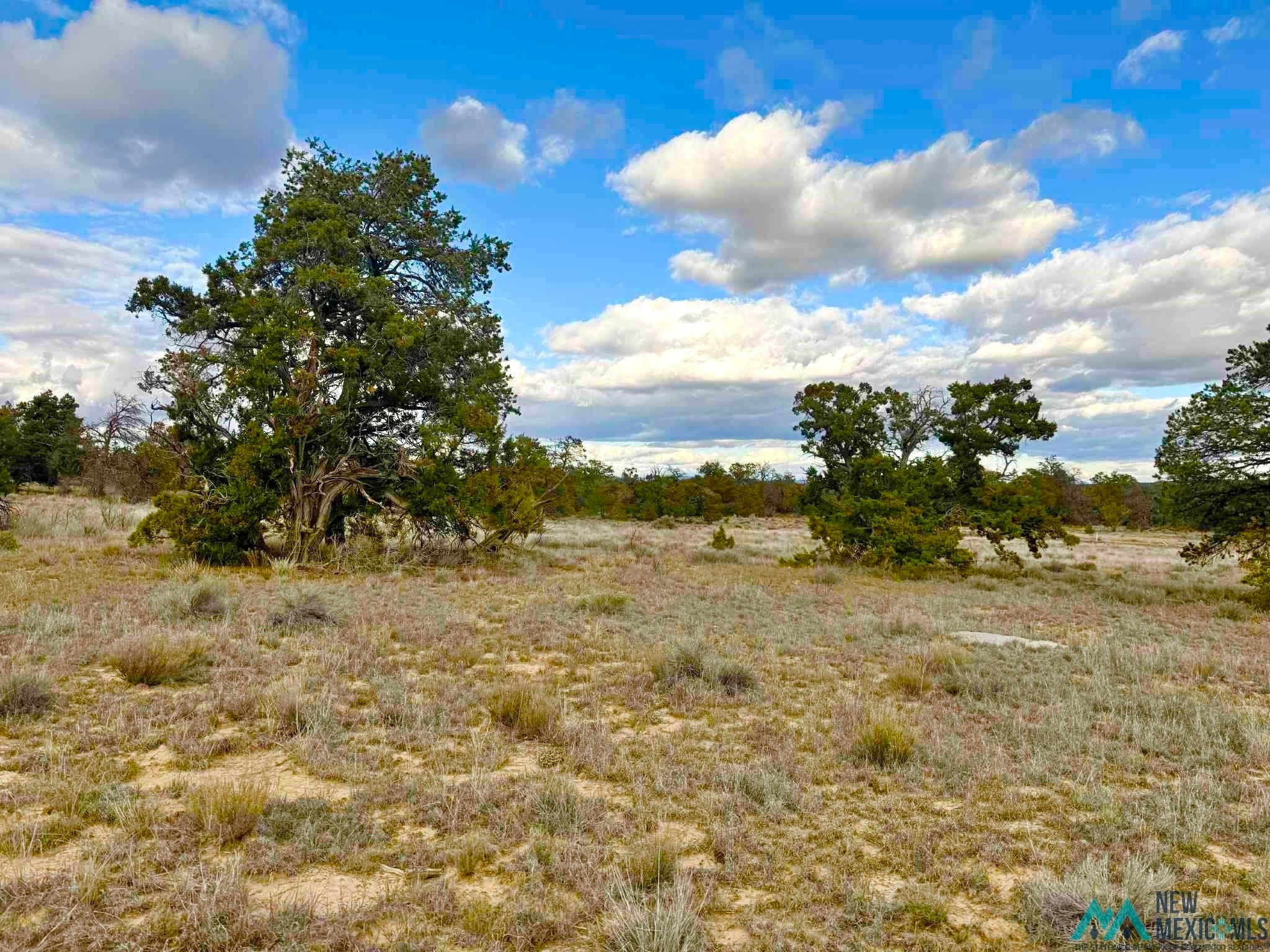 98 Great White Father Road Ramah, NM 87357 - Photo 10 of 16 Gallery Image 10