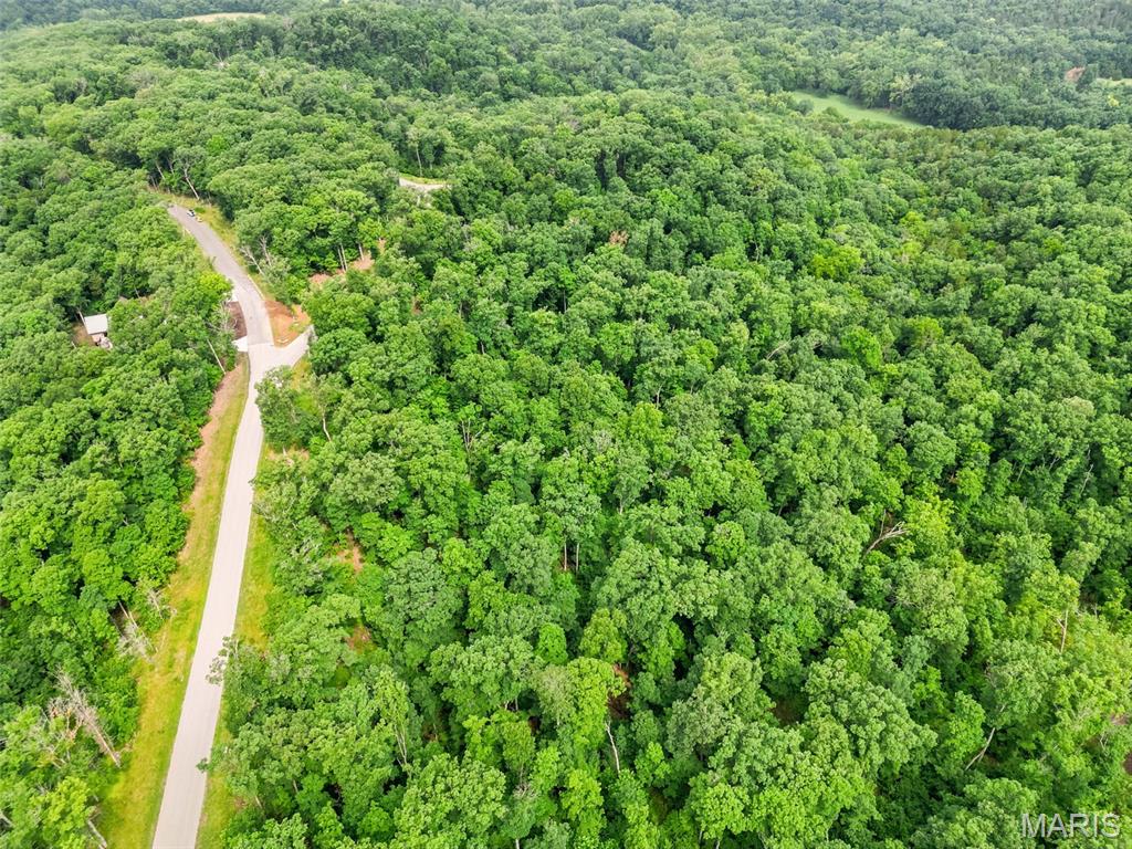 2835 Tyrolean Way Drive Innsbrook, MO 63390 - Photo 4 of 9