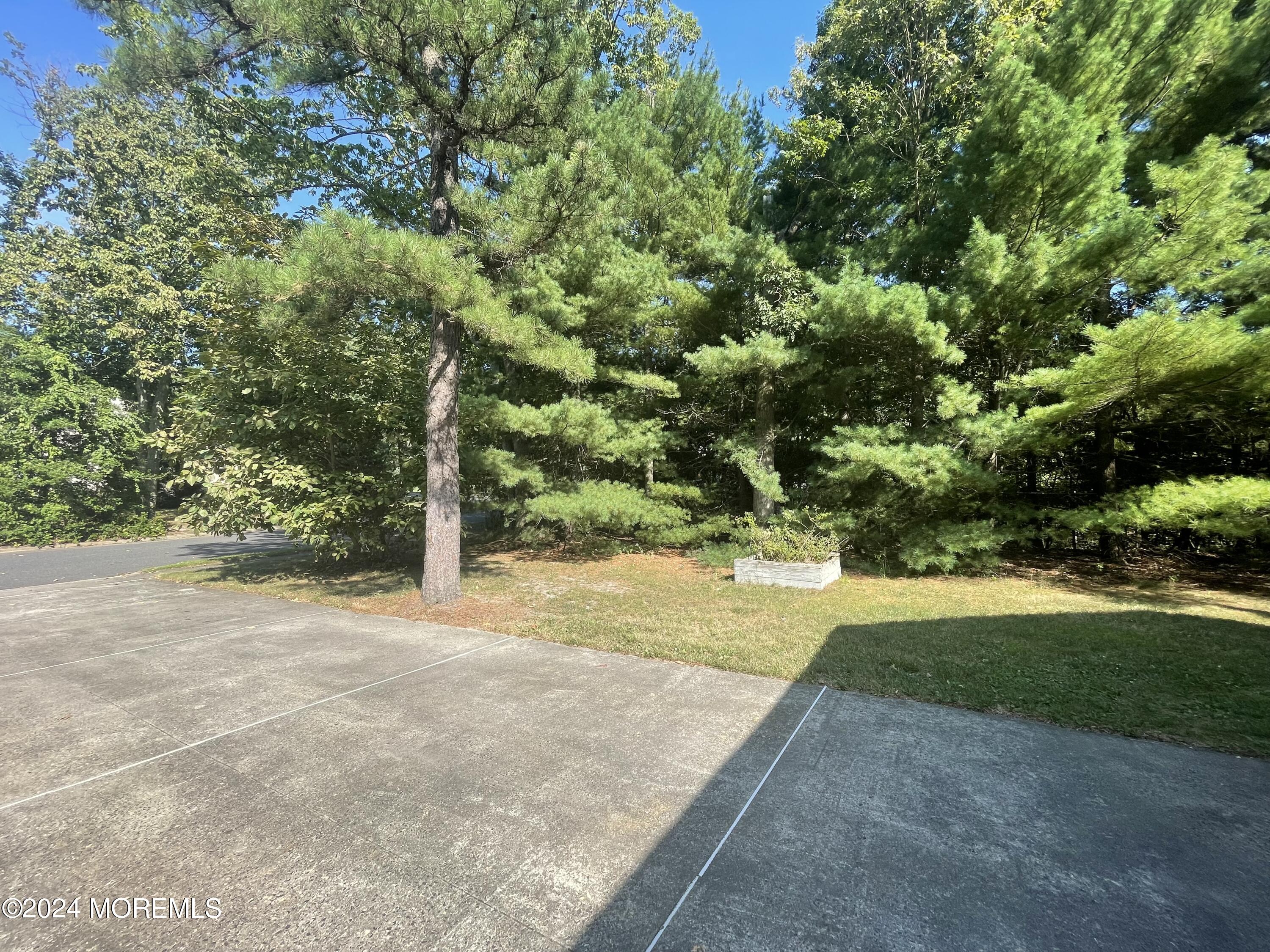 4 Rimwood Lane Howell, NJ 07731 - Photo 11 of 44 a view of a yard with plants and trees