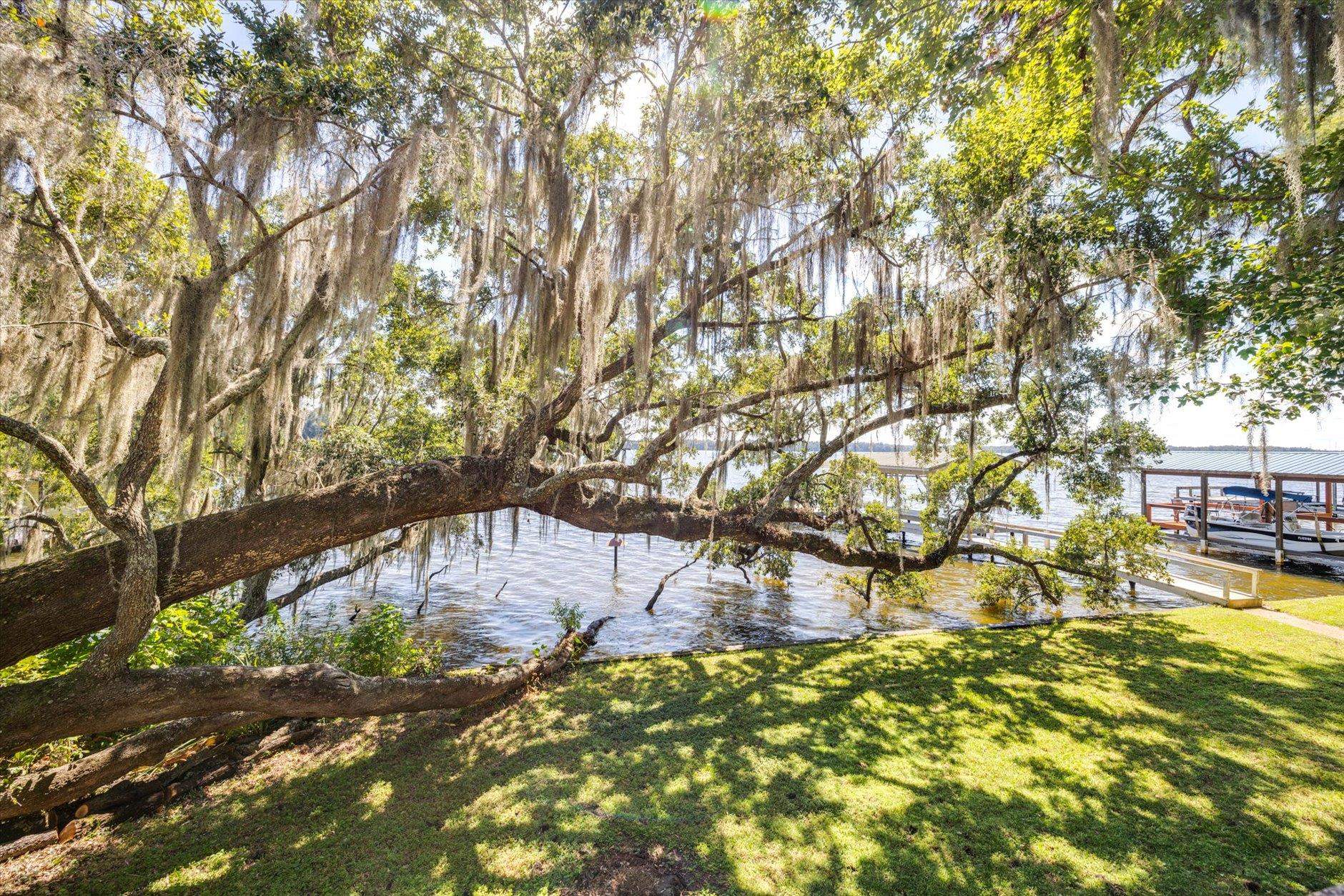 941 Drake Acres Road Quincy, FL 32351 - Photo 24 of 59