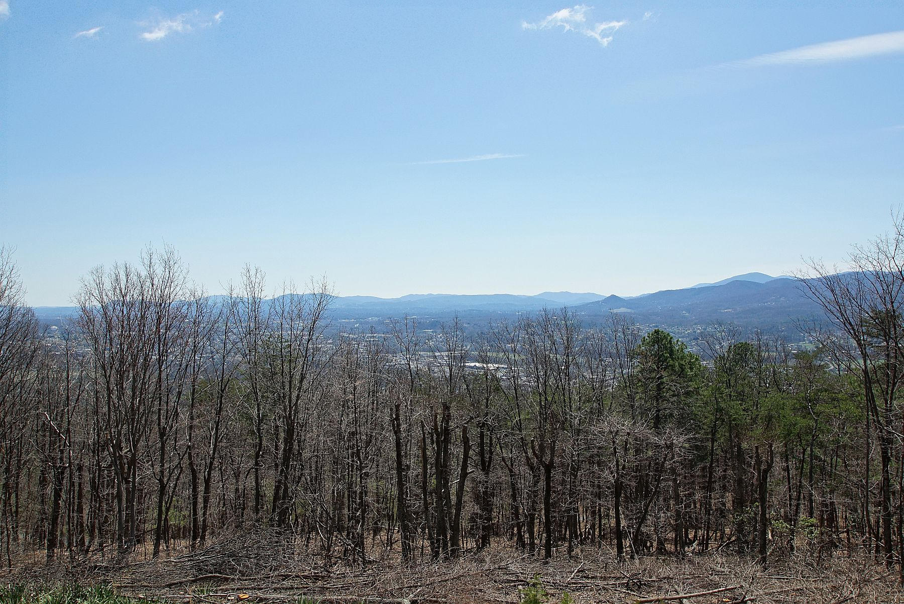 840 Brushy Ridge Road Salem, VA 24153 - Photo 20 of 86 a view of a city with lush green forest
