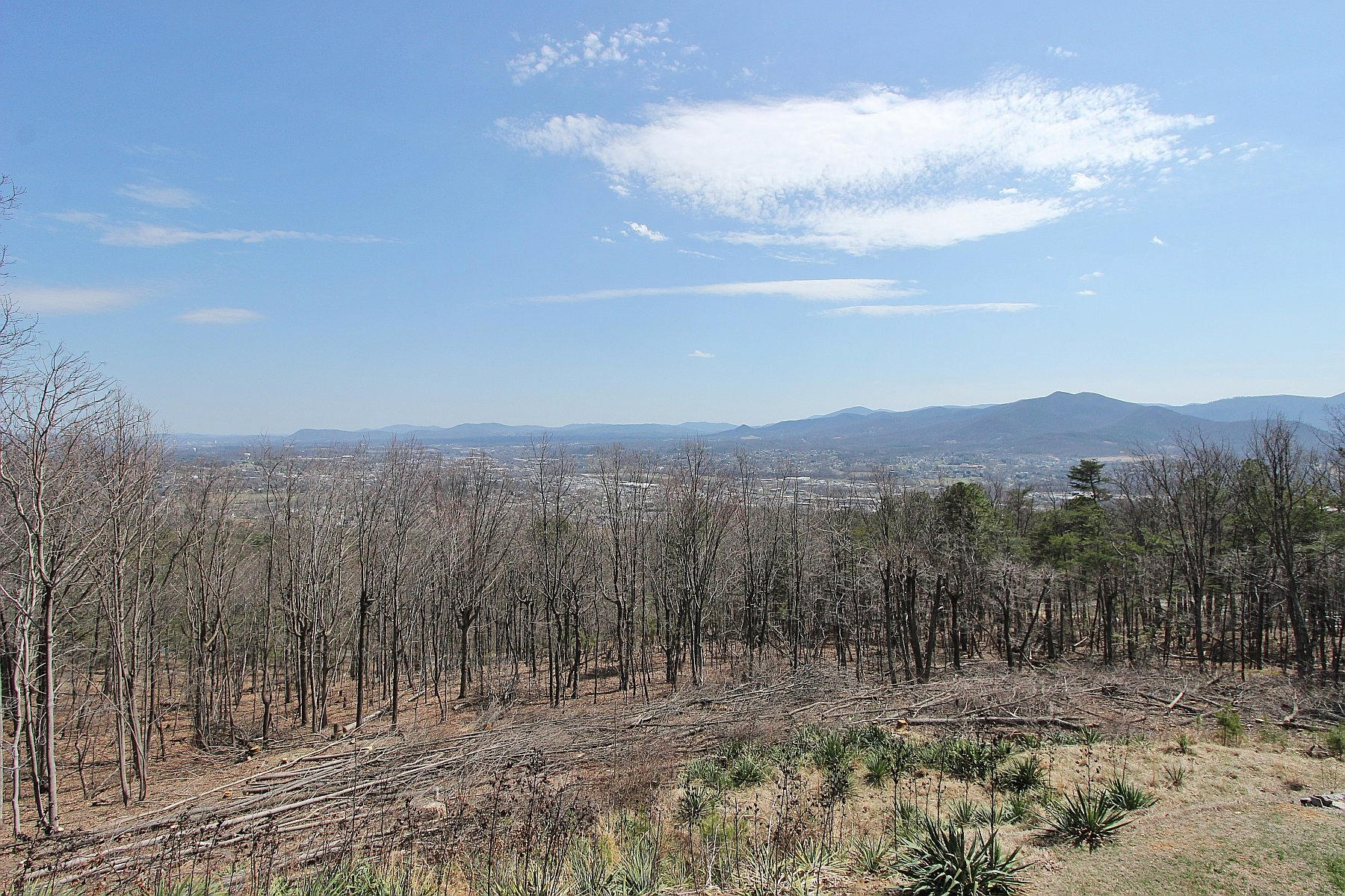 840 Brushy Ridge Road Salem, VA 24153 - Photo 64 of 86 img_2973
