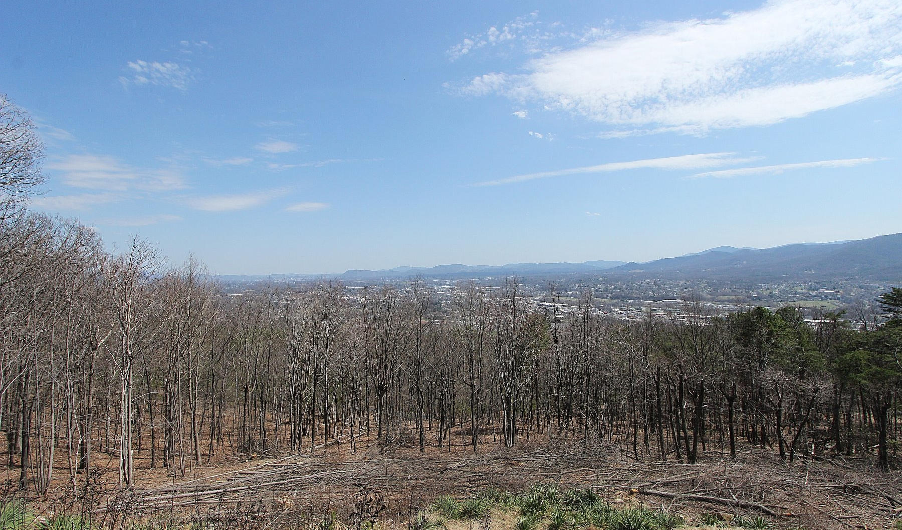 840 Brushy Ridge Road Salem, VA 24153 - Photo 66 of 86 a view of a city with lush green forest