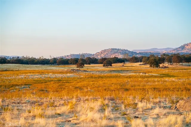 a view of an ocean and trees